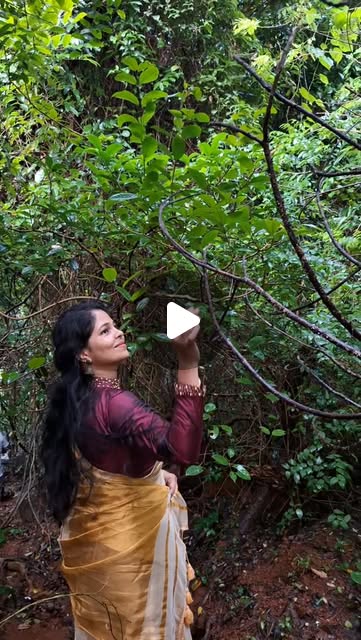 Kerala Golden Weave Saree